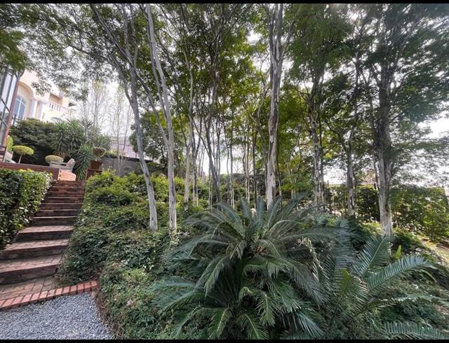 3 BEDROOM PROPERTY TO RENT IN WATERKLOOF RIDGE